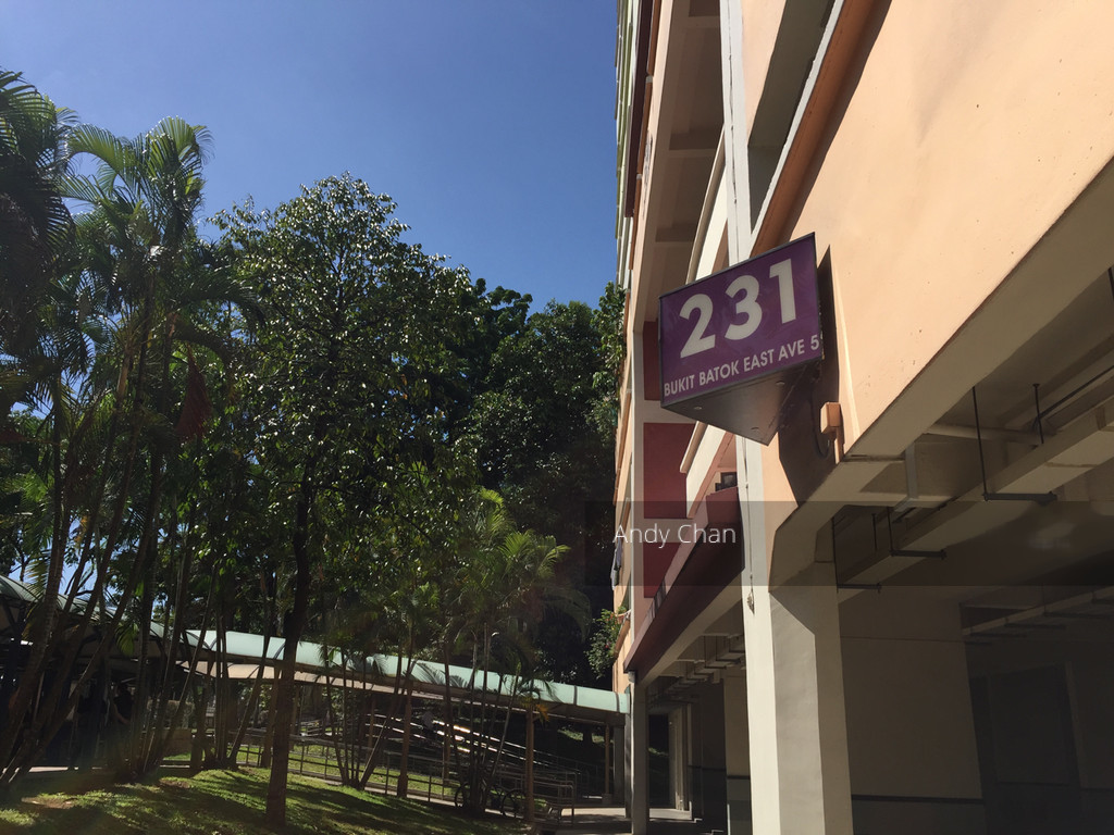 Blk 231 Bukit Batok East Avenue 5 (Bukit Batok), HDB 3 Rooms #135587102